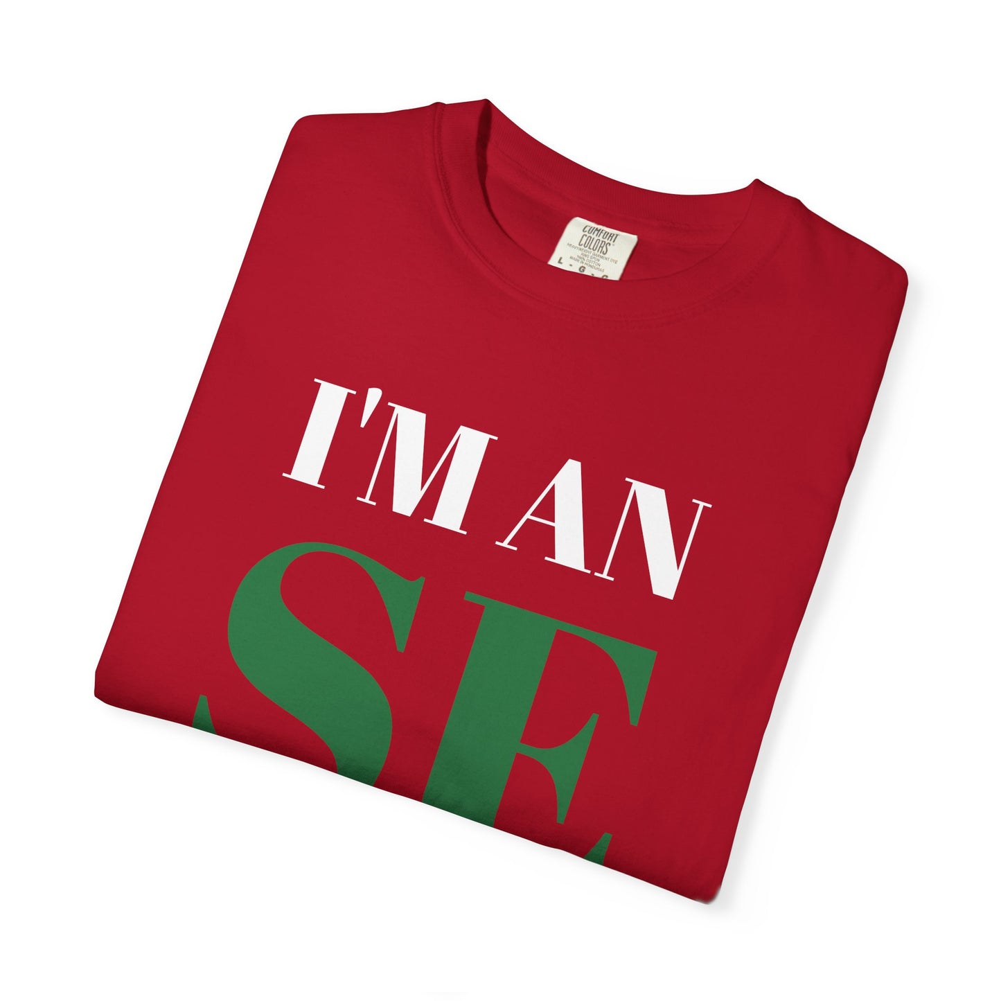 I'M AN SE T-Shirt | Typography Statement Tee, Bold White Text on Black